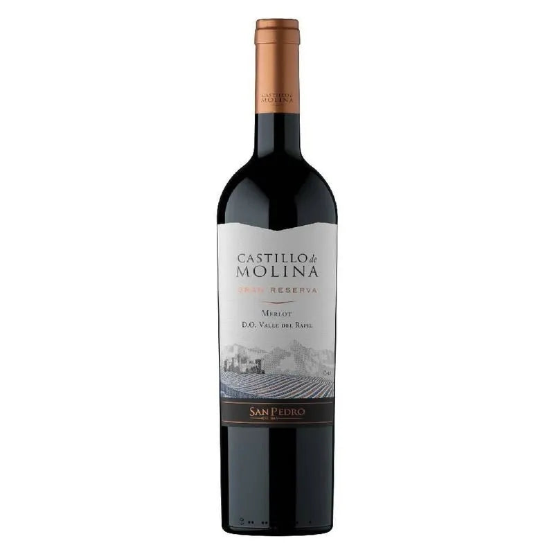 VINO CASTILLO DE MOLINA MERLOT 750ML