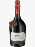 VINO LAMBRUSCO TERRA CALDA TINTO