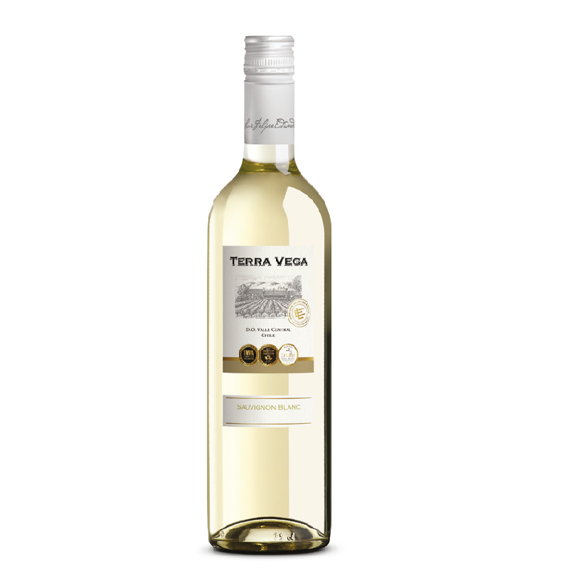 VINO BLANCO SAUVIGNON TERRA VEGA BOTELLA 187 ML