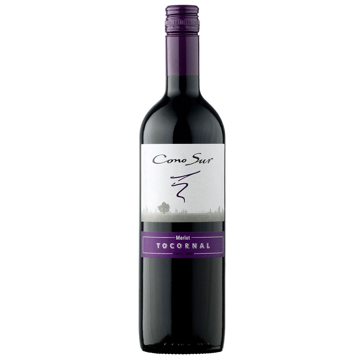 VINO CONO SUR BICICLETA MERLOT BOTELLA
