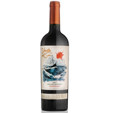 VINO TINTO VIENTOS DEL SUR CABERNET RESERVA BOTELLA