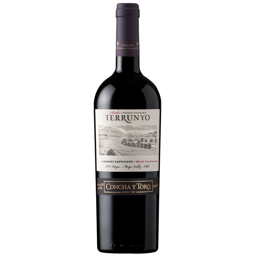 VINO TERRUNYO CABERNET 750